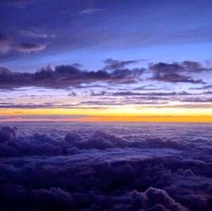 Meet your Posher, Kelli